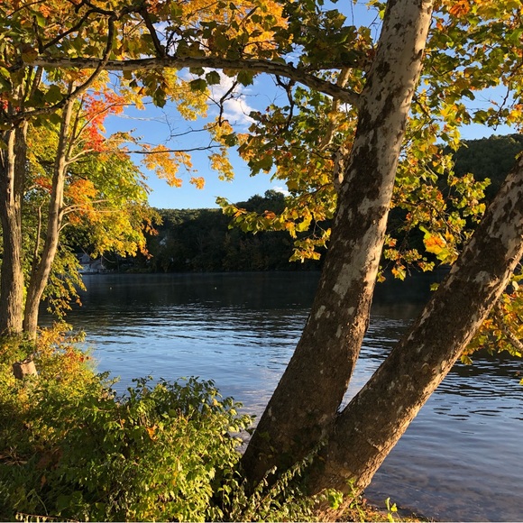 Making people laugh since 1961 - Picture 11 of 12